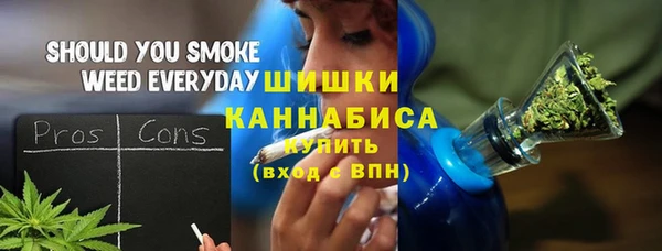 гидропоника Горняк