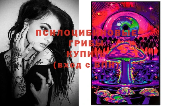 гидропоника Горняк