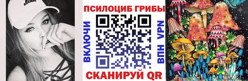 Галлюциногенные грибы мицелий кракен онион Новоалтайск
