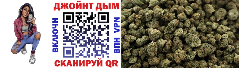Каннабис планчик Новоалтайск